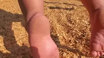 Just Relaxing Barefoot on a Swing