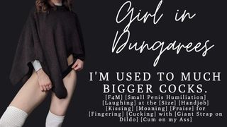 ASMR | I've been with bigger penii than yours | Small Rod Humiliation | Audio Porn