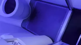 masturbates in airplane toilet