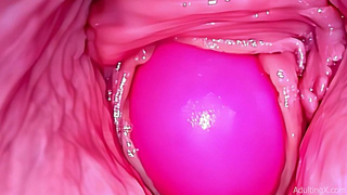 Inside a Camgirl Cervix SELF PERSPECTIVE Webcam in Twat with Pink Vibrating Toy