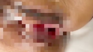 x1x8E27FC4D339EF3538E